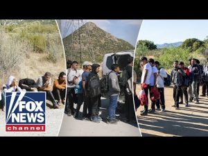 Read more about the article ‘POLITICAL WEAPON’: Author warns mass migration is being used against America