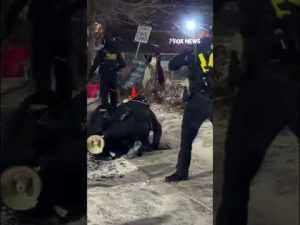 Read more about the article WATCH: Anti-ICE agitator detained by law enforcement in Minneapolis #shorts #foxnews #news #us