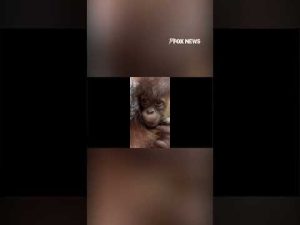 Read more about the article When a weekend nap ends earlier than expected…