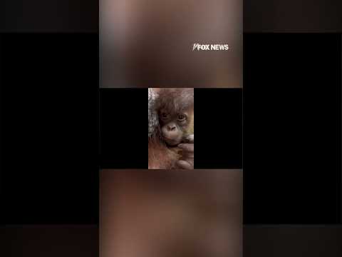 You are currently viewing When a weekend nap ends earlier than expected…