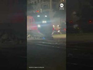 Read more about the article Delivery robot demolished by train in South Florida