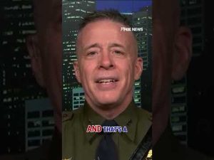 Read more about the article ‘FLAT-OUT LIE’: Border Patrol chief says Minneapolis Mayor Jacob Frey REFUSES to do this #shorts #us