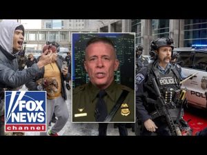 Read more about the article Border Patrol chief sounds alarm on ‘ANARCHISTS’ threatening US citizens