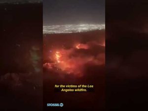 Read more about the article LA Wildfires