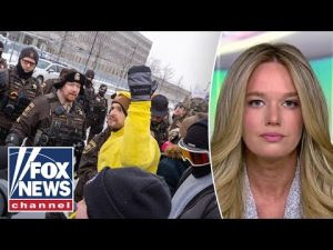 Read more about the article DHS WARNS anti-ICE agitators in Minnesota: ‘Hope we see mugshots soon’