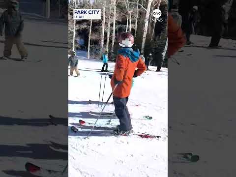 You are currently viewing UTAH SKI MOOSE