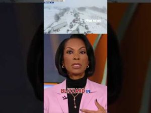 Read more about the article Blizzard triggers MASSIVE 100-car pileup in Michigan #shorts #new #foxnews #us #blizzard #michigan