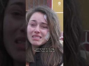 Read more about the article Survivor of Spain train crash describes ordeal