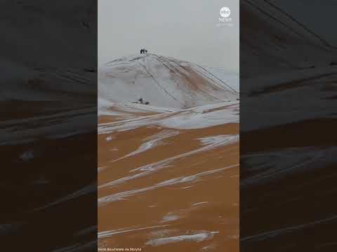 You are currently viewing Sahara Desert sand dunes get rare dusting of snow