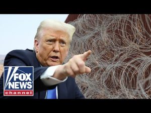 Read more about the article ‘ENFORCE THE LAW!’: Border Patrol chief praises Trump for immigration policy