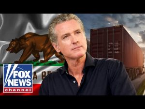 Read more about the article NEW: California to DELAY revoking migrant trucker licenses