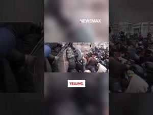 Read more about the article I’d crush these lib protesters if it were me: Carl Higbie