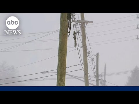 You are currently viewing Power grids brace for crippling cold and ice
