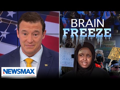 You are currently viewing Carl Higbie: These ‘unemployable, crazy nutjob’ ICE protesters aren’t intimidating anybody