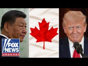 Read more about the article Trump WARNS Canada that China will ‘EAT THEM UP’