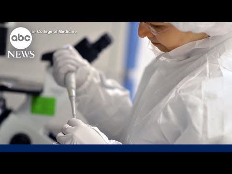 You are currently viewing New advances in pancreatic cancer treatment