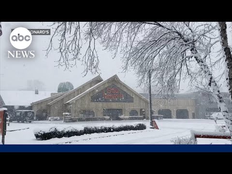 You are currently viewing Grocery store chain Stew Leonard’s in full winter storm mode