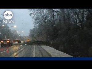 Read more about the article Memphis battered by monster snowstorm