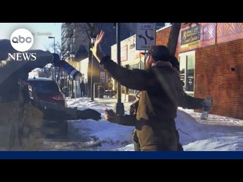 You are currently viewing Witness videos of the fatal shooting of Alex Pretti