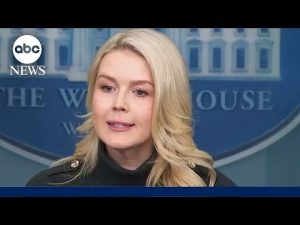 Read more about the article White House press secretary Karoline Leavitt addresses shooting of Alex Pretti in Minneapolis