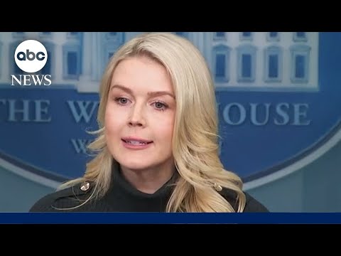 You are currently viewing White House press secretary Karoline Leavitt addresses shooting of Alex Pretti in Minneapolis