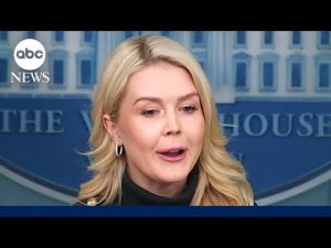 Read more about the article White House distances itself from accusations Alex Pretti was ‘domestic terrorist’