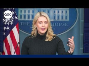 Read more about the article White House continues to blame Democrats for chaos in Minneapolis