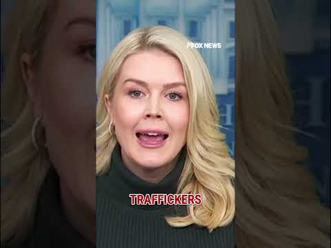 You are currently viewing Leavitt: Minnesota Dems’ ‘wrong and illegal’ obstruction led to tragedy #shorts #us #news #ICE