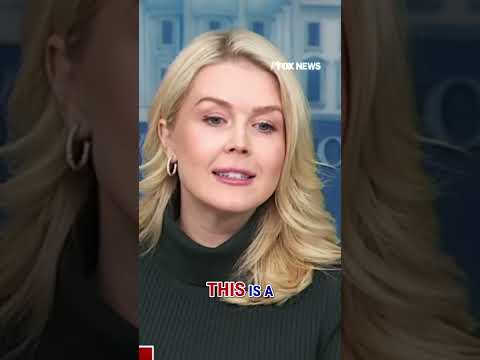 You are currently viewing ‘SUBDUE THE CHAOS’: Homan has Trump’s ‘full trust and faith’ on this, Leavitt says #shorts #border