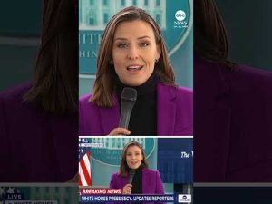 Read more about the article White House distances itself from accusations Alex Pretti was ‘domestic terrorist’