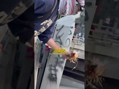 You are currently viewing Trump Just Dropped This Truth Nuke on Democrats