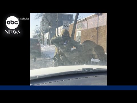 You are currently viewing Report: 2 federal agents opened fire in fatal shooting of Alex Pretti in Minneapolis