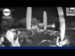 Read more about the article New video of car emerges in Nancy Guthrie investigation