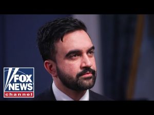 Read more about the article ‘ABSOLUTELY BLEW THIS’: Mamdani’s snowball defense melts