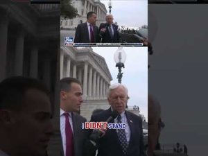 Read more about the article Dems questioned on NOT STANDING FOR AMERICAN CITIZENS #foxnews #news #us #fox