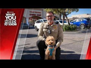 Read more about the article What You Need To Know – Weekend Edition