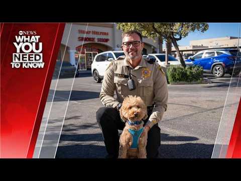 You are currently viewing What You Need To Know – Weekend Edition