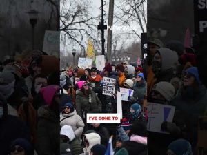 Read more about the article I’ve been in front of cops with Glock on hip: Dana Loesch on difference between her, Alex Pretti