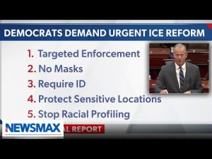 Read more about the article Democrats issue demands in order to not shutdown DHS funding: Report | National Report