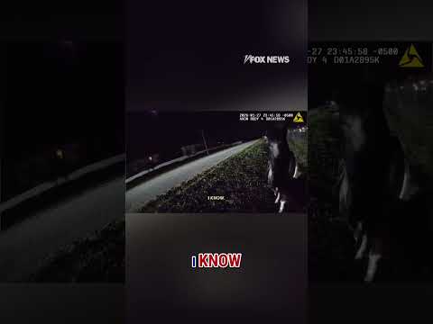 You are currently viewing Caught horsin’ around: Mini horse Oreo’s midnight adventure