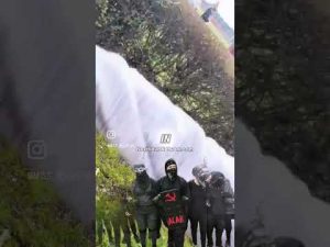 Read more about the article This Mother Just Saved Her Child From a Life of Trump Derangement Syndrome