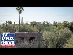 Read more about the article Investigators hunt for surveillance video in Nancy Guthrie disappearance