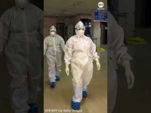 Read more about the article Nipah virus: Here’s what to know