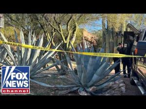 Read more about the article Cybersecurity expert analyzes Nancy Guthrie’s pacemaker app data