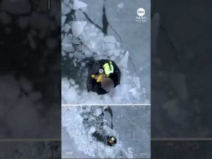 Read more about the article 3 rescued after falling through icy waters