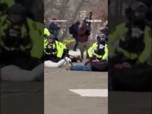 Read more about the article Anti-ICE crowd TAKEN DOWN by police #shorts #us #news #foxnews #ICE