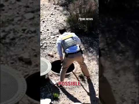 You are currently viewing JUST IN: New police activity at Nancy Guthrie’s home #shorts #us #news #nancyguthrie