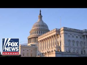 Read more about the article SAVE ACT is ‘common sensical’: GOP lawmaker