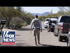 Read more about the article This is a frantic race against the clock: Gregg Jarrett