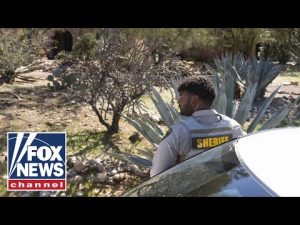 Read more about the article ‘FRICTION’ IN TUCSON: FBI, sheriff CLASH over Nancy Guthrie cameras